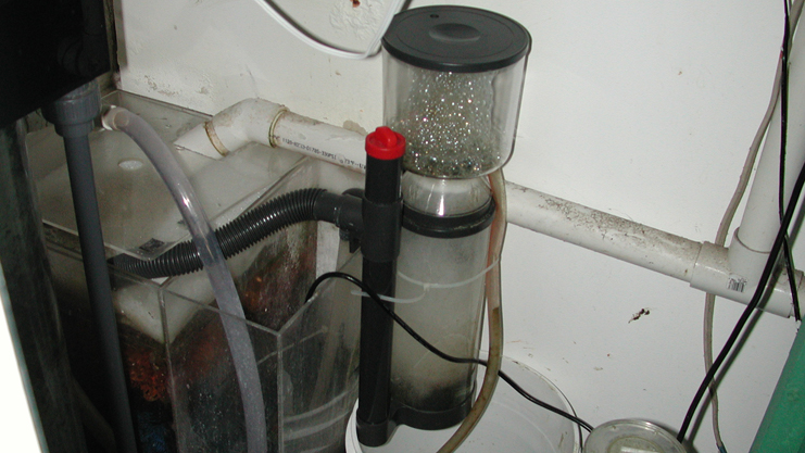 Reef Aquarium Fact #316 A Protein Skimmer is not a necessary piece of  equipment.