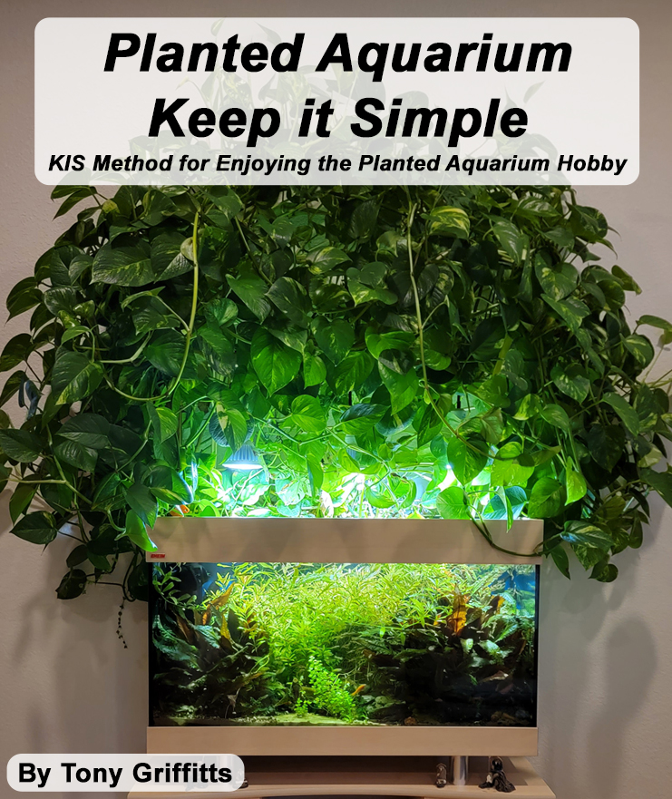 Planted Aquarium Keep it Simple