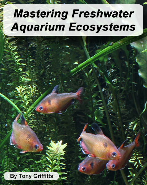 Mastering Freshwater Aquarium Ecosystems Cover