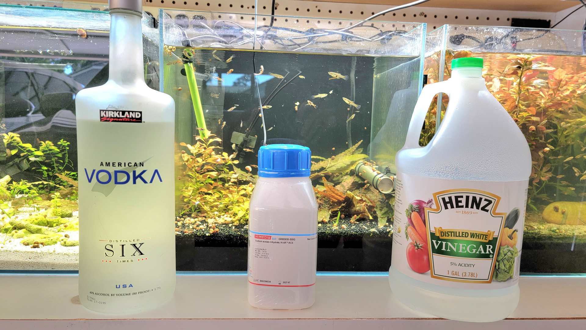 Freshwater Carbon Dosing